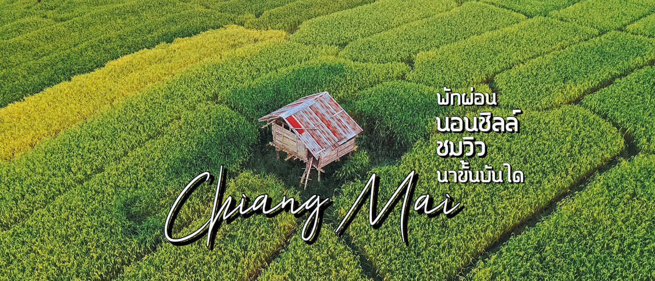 cover ❝ เขียว เขียว สีเขียวเต็มไปหมด ❞