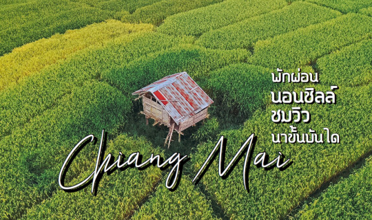 cover ❝ เขียว เขียว สีเขียวเต็มไปหมด ❞