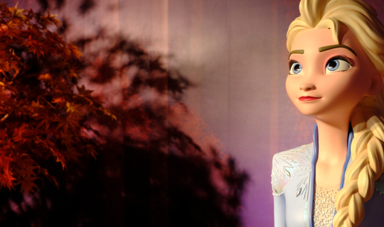 cover Mission: Find winter in Frozen Festival