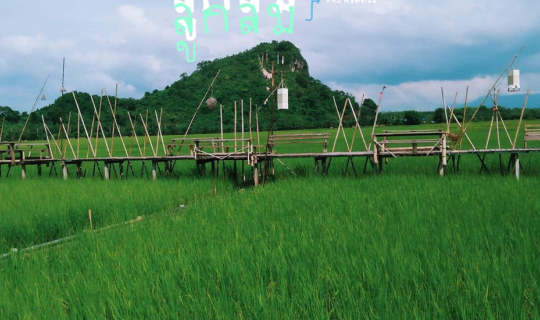 Cover ภูหลวงลูกลม จังหวัดตรัง...