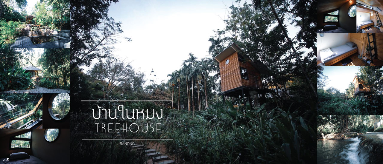 cover บ้านในหมง Treehouse โฮมสเตย์บ้านต้นไม้ นั่งชิลล์ริมธาร จ.ระนอง