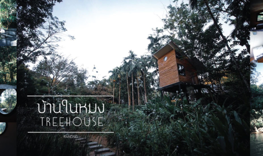 cover บ้านในหมง Treehouse โฮมสเตย์บ้านต้นไม้ นั่งชิลล์ริมธาร จ.ระนอง