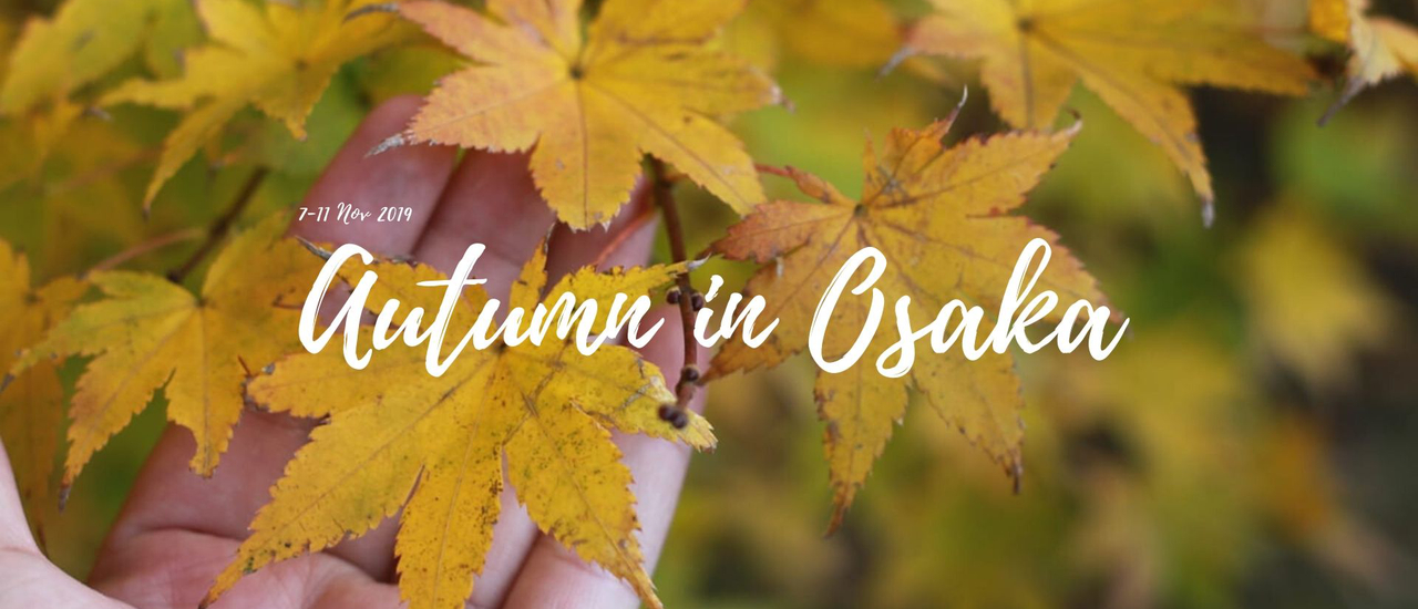 cover Autumn in Osaka ใบไม้เปลี่ยนสีที่โอซาก้า 2019
