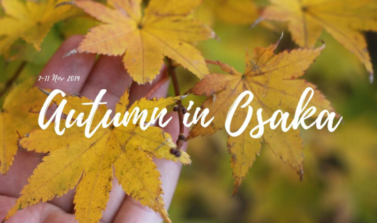 Cover Autumn in Osaka ใบไม้เปลี่ยนสีที่โอซาก้า 2019...