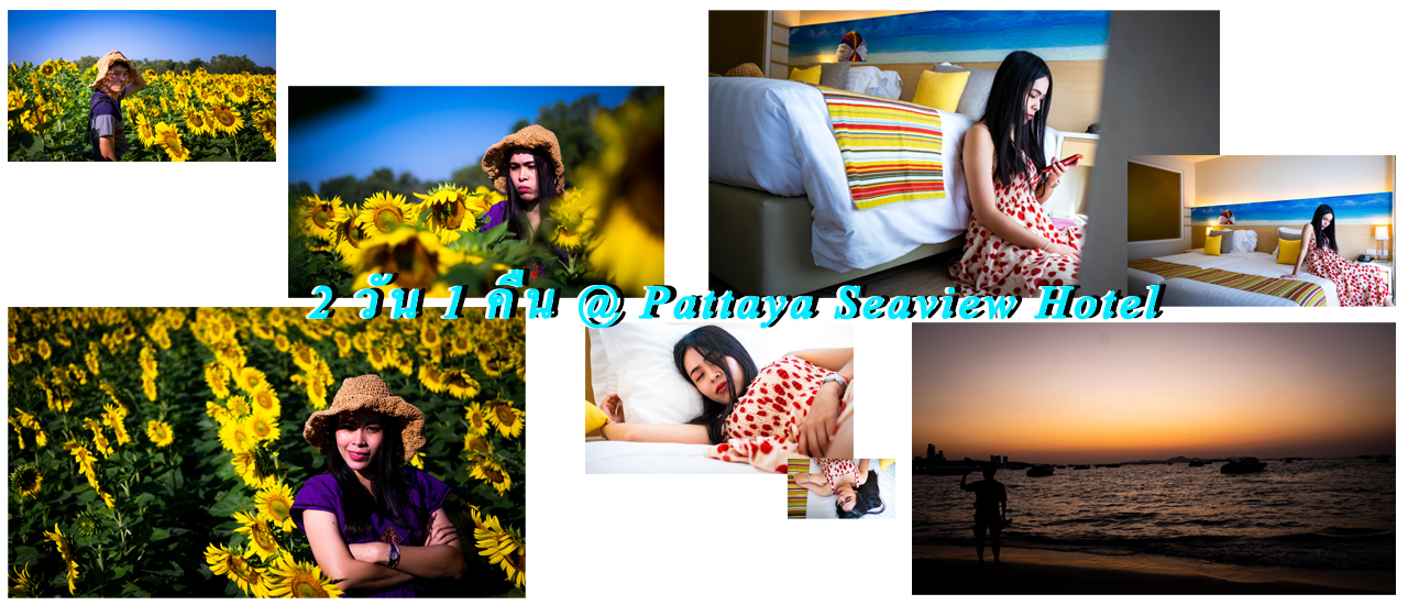 cover เช้าเที่ยวทุ่งดอกไม้ ตกบ่ายเดินช๊อปปิ้ง แล้วกลับมานอนกลิ้ง @Pattaya Sea View Hotel
