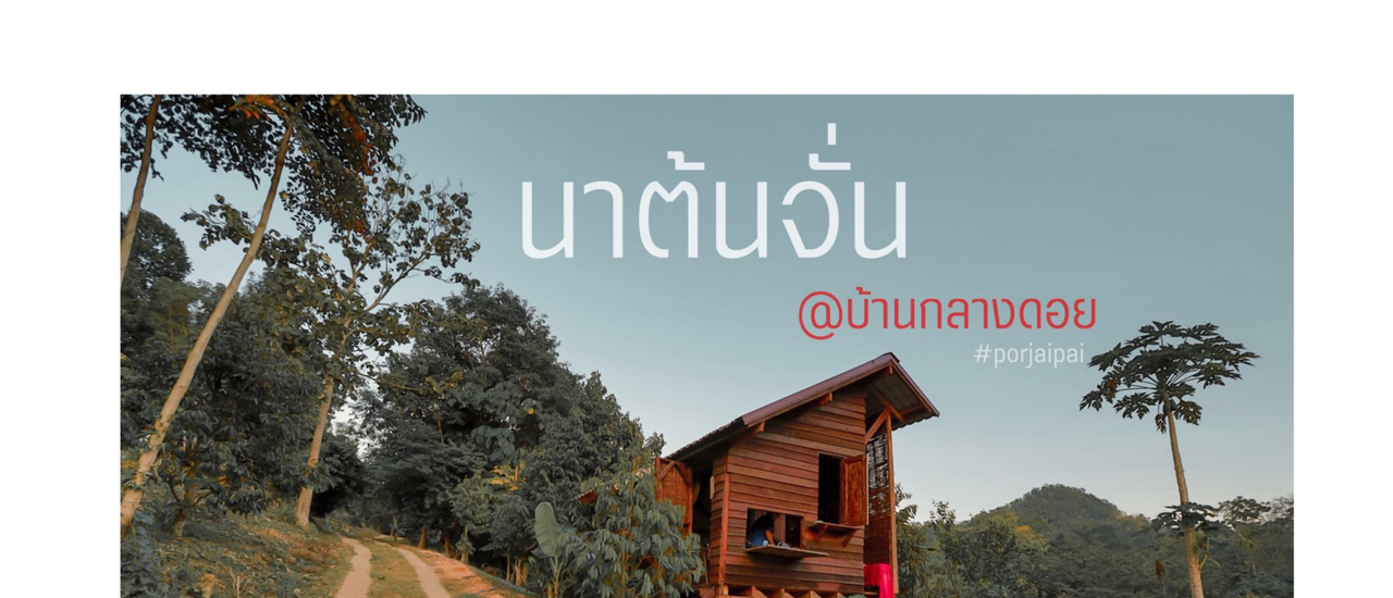 cover บ้านกลางดอย....อยู่นาต้นจั่นนะ