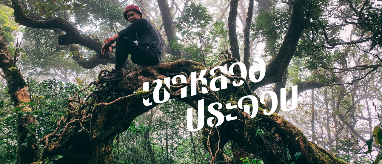 cover เขาหลวงประจวบ ทางชันบรรลัย !!