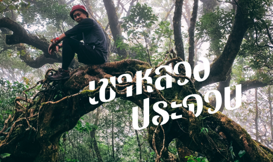 cover เขาหลวงประจวบ ทางชันบรรลัย !!