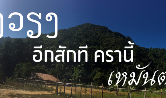 Cover วังเวียง อีกสักที ครานี้ เหมันตฤดู (26-28 NOV 2019)...