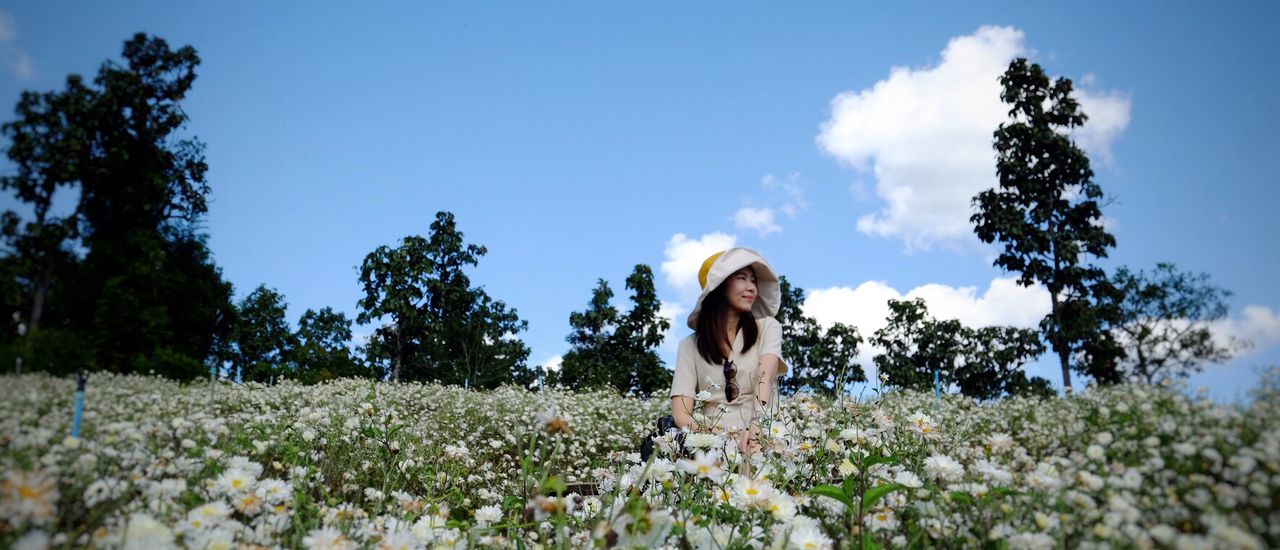 cover เชียงใหม่ ไม่ใช่เจ้าถิ่น Check In ไหนดี ?