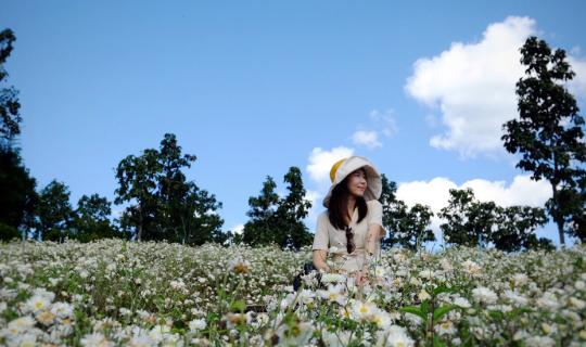 Cover เชียงใหม่ ไม่ใช่เจ้าถิ่น  Check In ไหนดี ?...