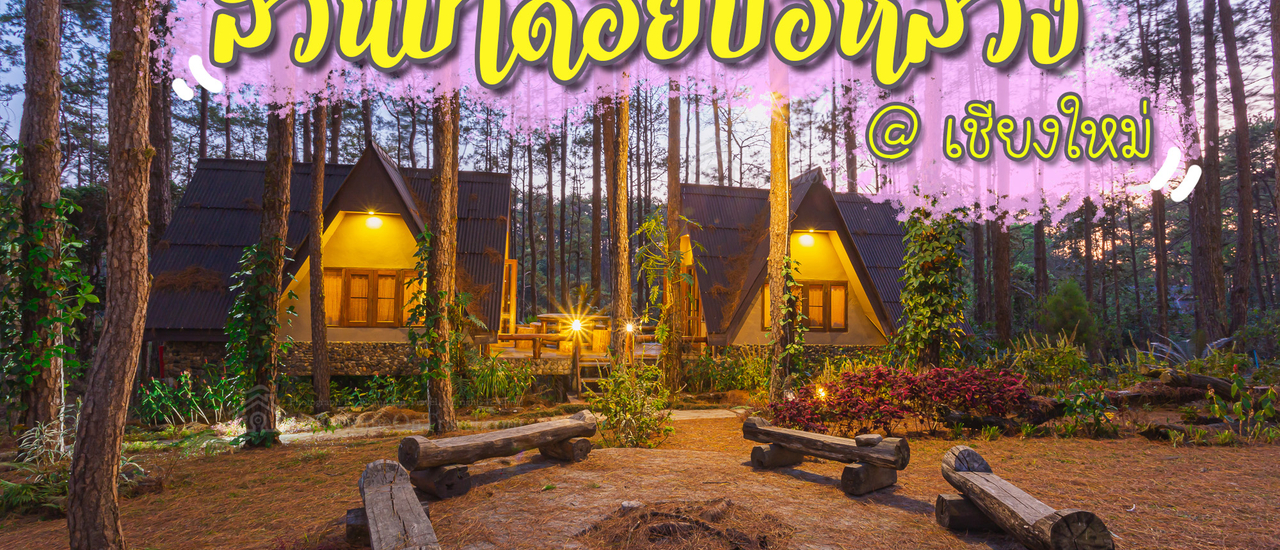 cover 🌲🌲 หนาวนี้ที่เชียงใหม่ พาไปนอนกระท่อมที่สวนป่าดอยบ่อหลวง