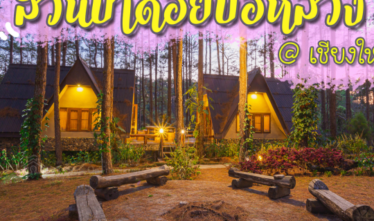 cover 🌲🌲 หนาวนี้ที่เชียงใหม่ พาไปนอนกระท่อมที่สวนป่าดอยบ่อหลวง