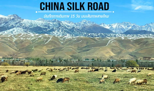 cover สวยจริง ลุ้นจริง กับ 15 วัน บนเส้นทางสายไหม