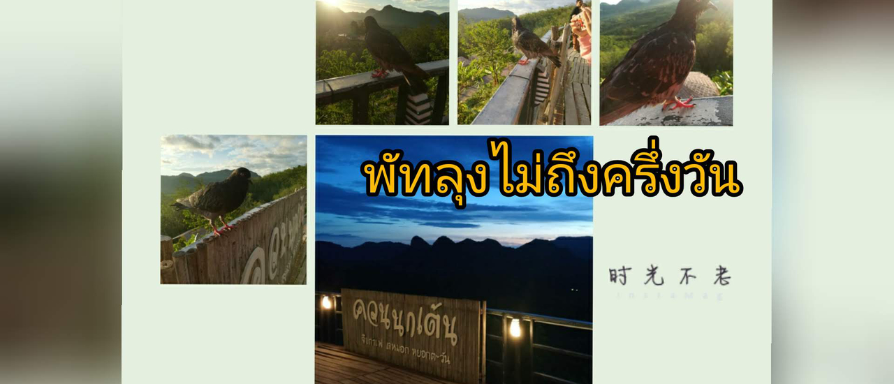 cover จิบกาแฟ แลหมอก หยอกตะวัน@ควนนกเต้น พัทลุง