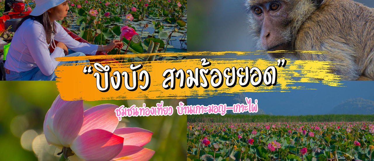 cover นั่งเรือชมบึงบัว ชุมชนท่องเที่ยวบ้านเกาะมอญ-เกาะไผ่ สามร้อยยอด