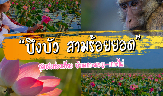 cover นั่งเรือชมบึงบัว ชุมชนท่องเที่ยวบ้านเกาะมอญ-เกาะไผ่ สามร้อยยอด