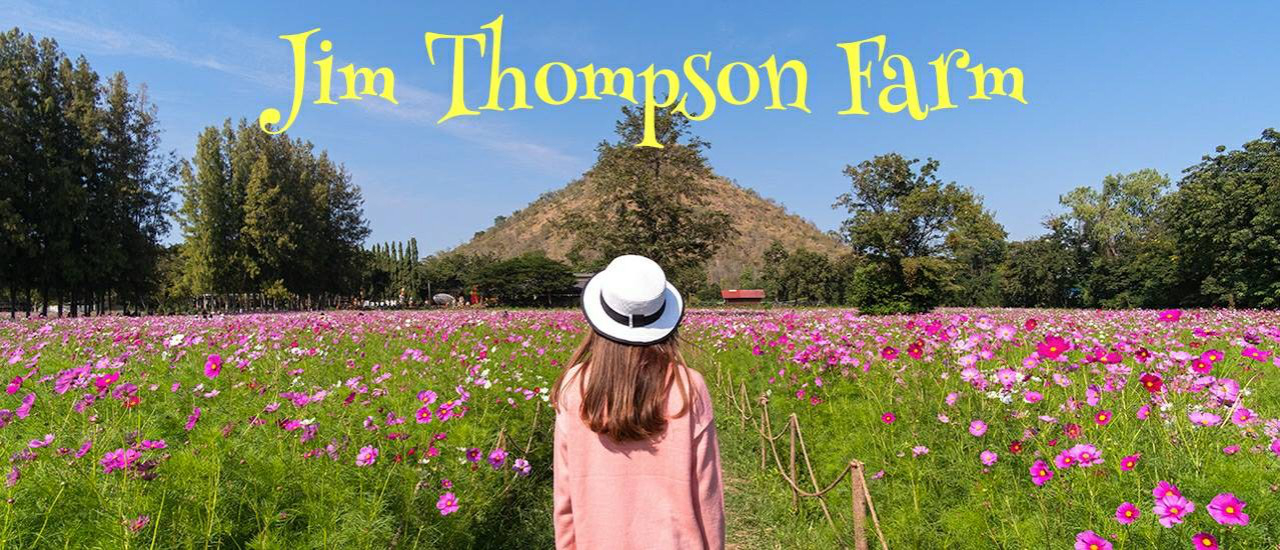 cover วิ่งเล่นในทุ่งดอกไม้ กับ Jim Thompson Farm