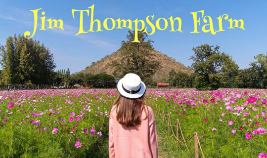 Cover วิ่งเล่นในทุ่งดอกไม้ กับ Jim Thompson Farm...