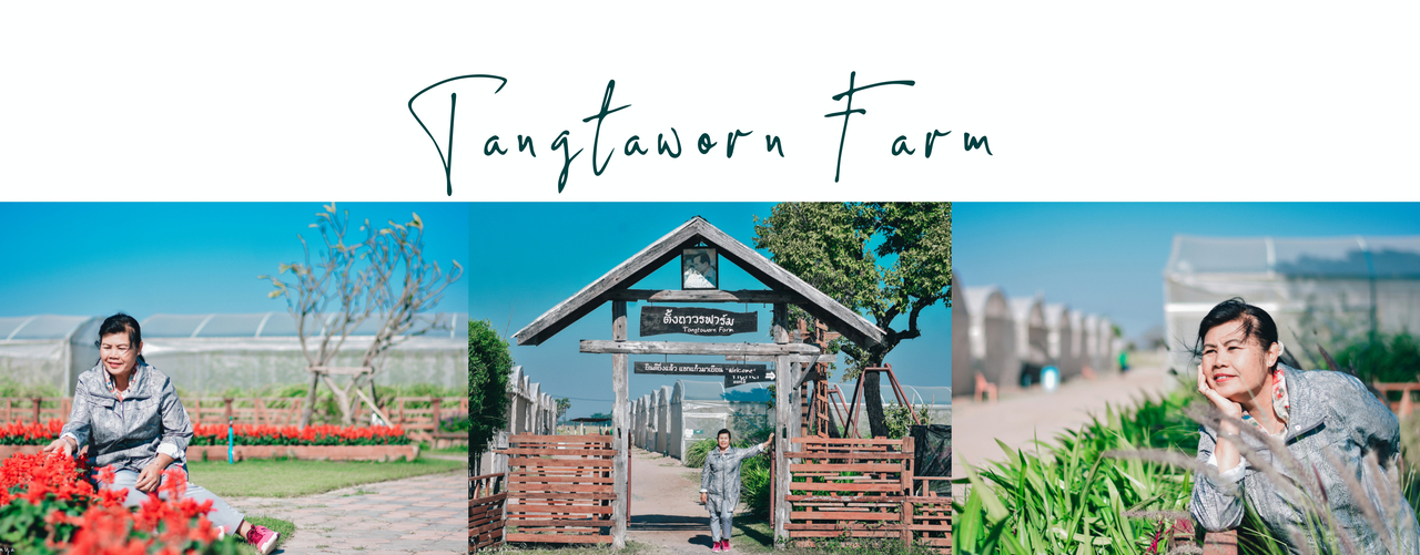 cover ธันวาพาแม่เที่ยว ^^