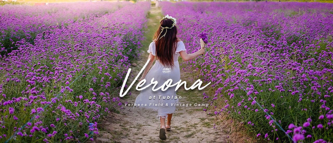 cover Verona Vintage Camp - ฟินกับทุ่งดอกไม้ นอนสบายในแคมป์วินเทจ ที่ Verona at Tublan