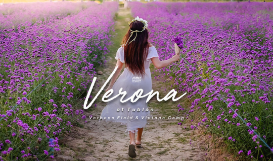 cover Verona Vintage Camp - ฟินกับทุ่งดอกไม้ นอนสบายในแคมป์วินเทจ ที่ Verona at Tublan