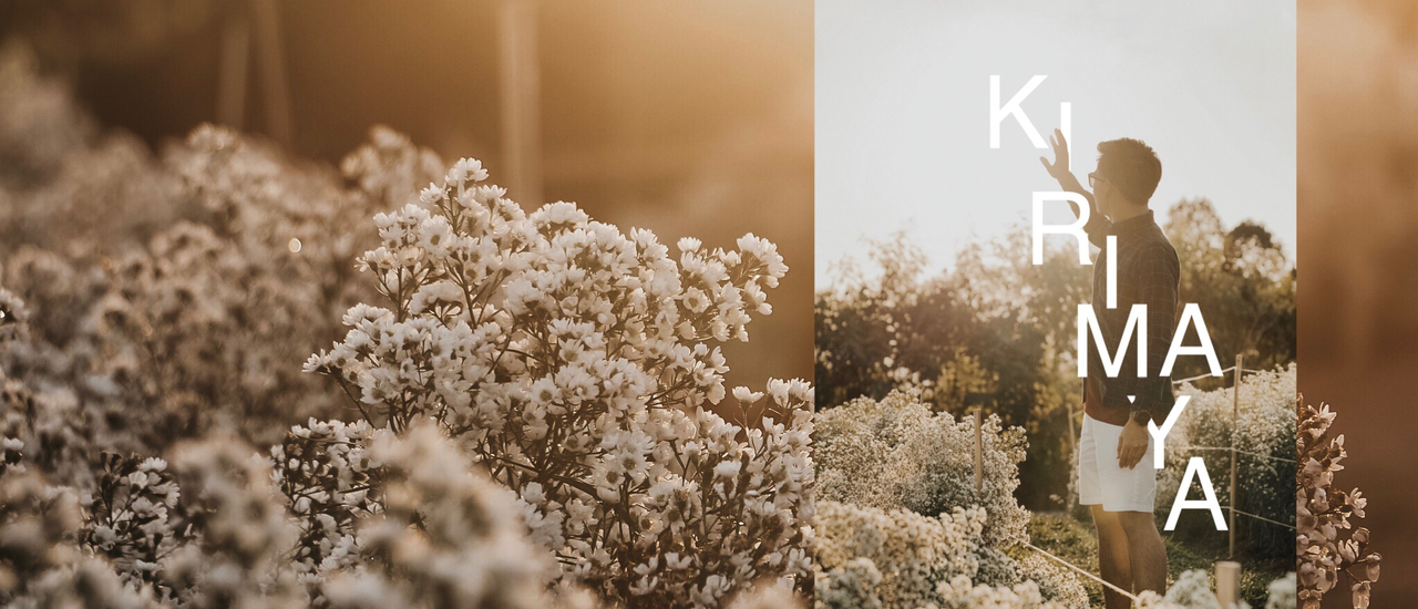 cover ❝ ตามหาปริศนา 3 สวนแห่งความลับ ❞