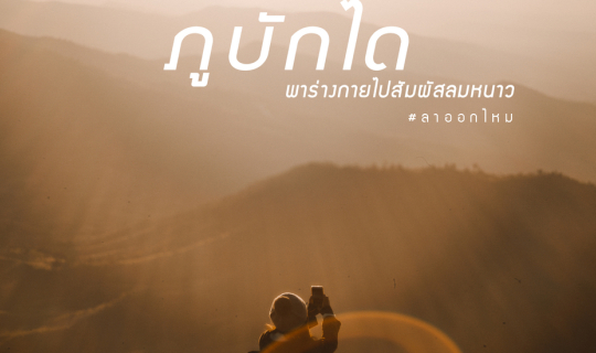 cover ภูบักได สัมผัสลมหนาวกับวิวสุดปัง !