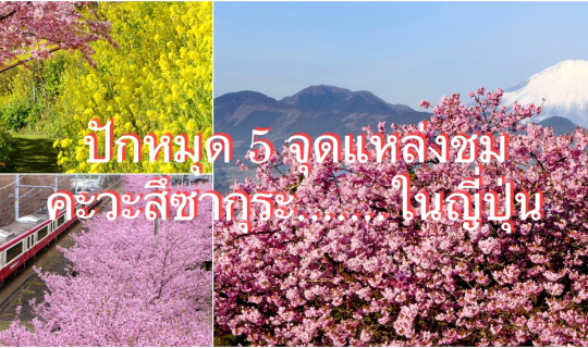 Cover ปักหมุด 5 จุดแหล่งชม 🌸คะวะสึซากุระ🌸 ..... ในญี่ปุ่น...