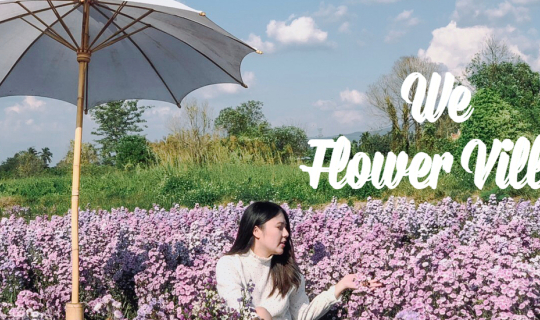 cover ชวนไปเที่ยว We flower village (สวนป้านกเอี้ยง) มุมถ่ายรูปเพียบ ไม่ต้องจองเข้าได้เลย