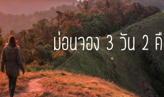 cover ม่อนจอง ลองไปดู