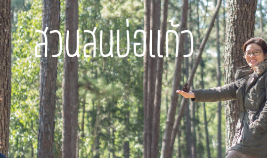 Cover แนวสนที่ สวนสนบ่อแก้ว อ.ฮอด เชียงใหม่...