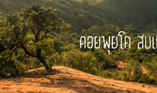 Cover หนาวนี้ที่ พุยโค Go Go Go...