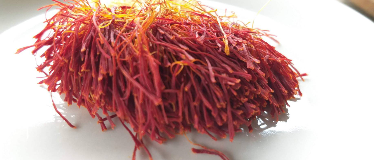 cover จิบชาดีที่แคชเมียร์ ...ชาหญ้าฝรั่นช่วยลดอาการซึมเศร้า