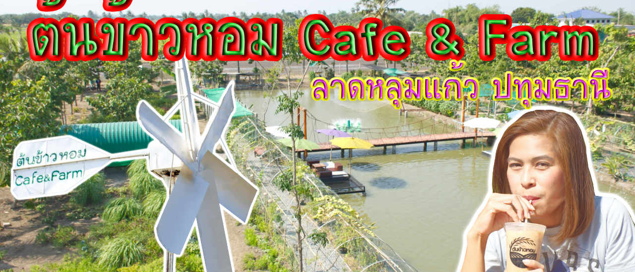 cover #ต้นข้าวหอม Cafe & Farm (Ton Khao Hom Cafe & Farm) #ลาดหลุมแก้ว #ปทุมธานี บรรยากาศร้านกาแฟ ริมทุ่งนา และร้านอาหารริมสระน้ำ