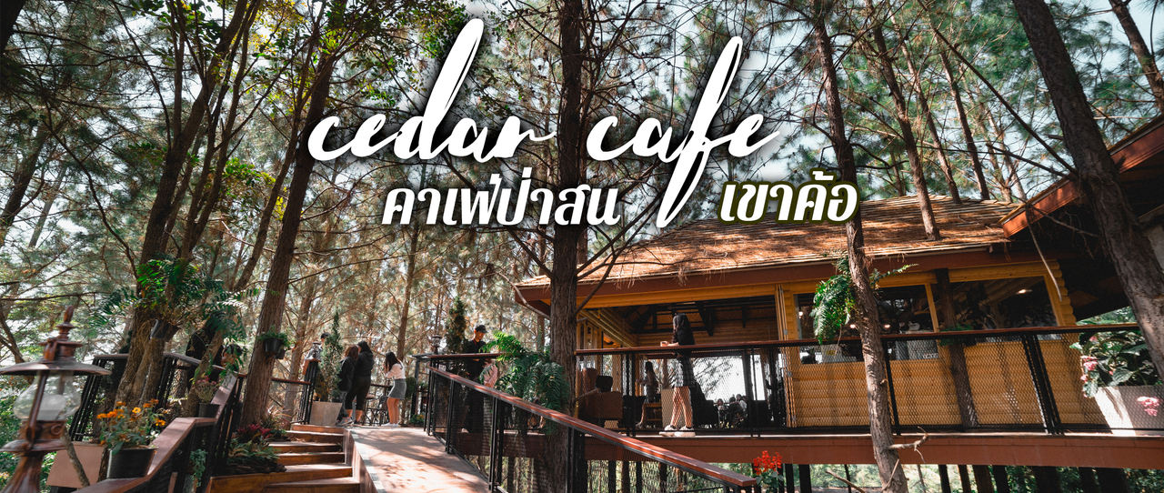 cover ใหม่ คาเฟ่ป่าสน เขาค้อ กลางขุนเขา l 𝘾𝙚𝙙𝙖𝙧 𝙘𝙖𝙛𝙚’