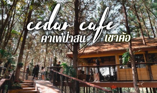 cover ใหม่ คาเฟ่ป่าสน เขาค้อ กลางขุนเขา l 𝘾𝙚𝙙𝙖𝙧 𝙘𝙖𝙛𝙚’