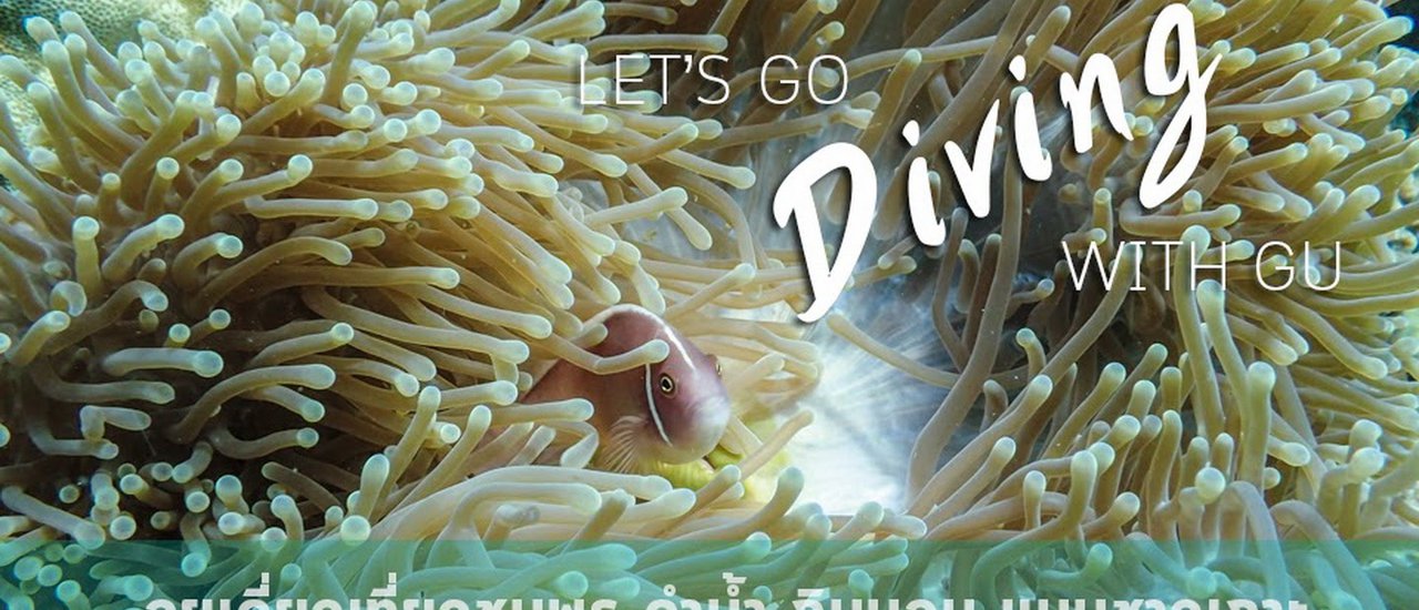 cover ☆*:.。.| LETS GO DIVING | ลุยเดี่ยวเที่ยวชุมพร ดำน้ำ กิน นอน แบบชาวเกาะ.。.:*☆