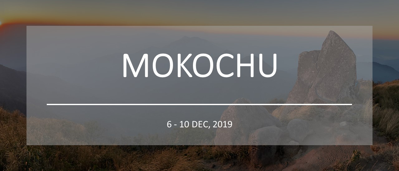 cover โมโกจูที่รักคึกคักคุกคิก