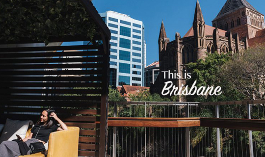 cover Brisbane เมืองสุดชิลที่มีต้นไม้ใหญ่ เลนจักรยาน บีชกลางเมือง ศิลปะดูฟรี และมีโคอาล่าให้อุ้ม