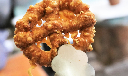 cover สัมผัสเส้นทางวิถีแห่งสายน้ำ  ชุมชนบ้านเกาะเกิด  ณ พระนครศรีอยุธยา