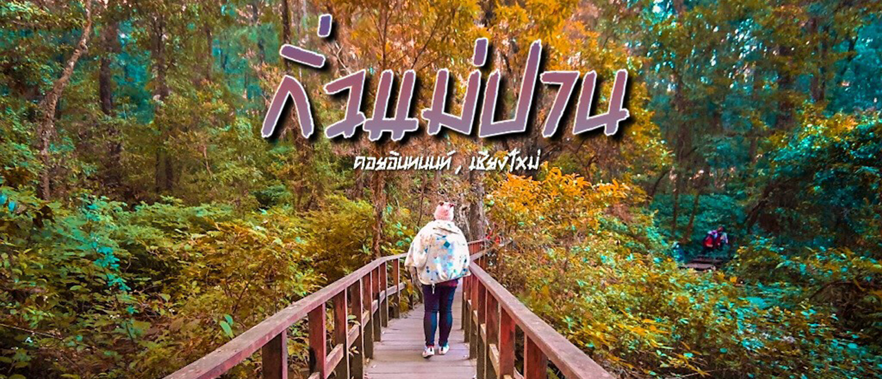 cover เดินชิลล์ๆ ที่กิ่วแม่ปาน (´∀`)♡