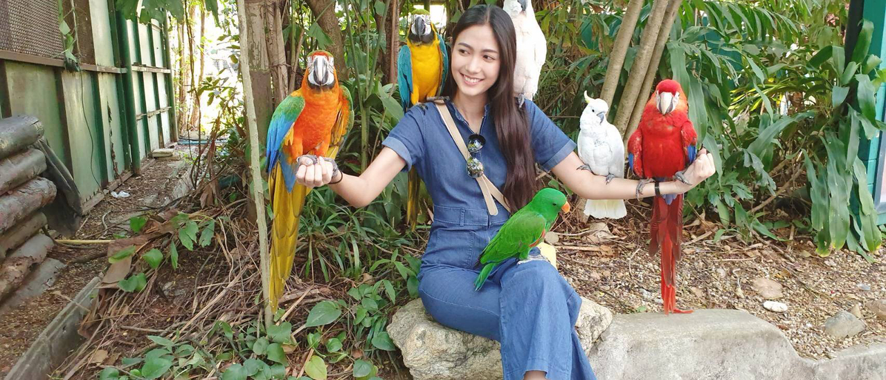 cover รีวิวห้องพัก SK Resort ห้องพักรายวันใกล้ซาฟารีเวิลด์ และไปเยี่ยมเหล่าสัตว์โลกน่ารักที่ซาฟารีเวิลด์กันค่ะ