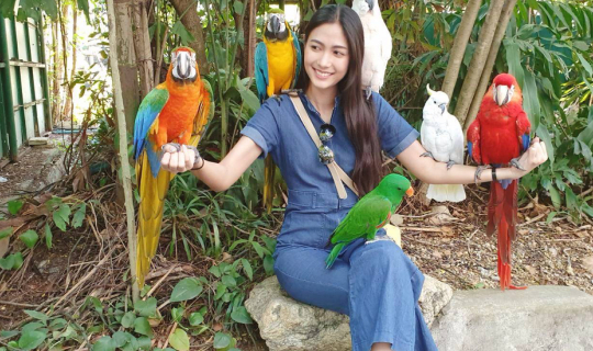 cover รีวิวห้องพัก SK Resort ห้องพักรายวันใกล้ซาฟารีเวิลด์ และไปเยี่ยมเหล่าสัตว์โลกน่ารักที่ซาฟารีเวิลด์กันค่ะ