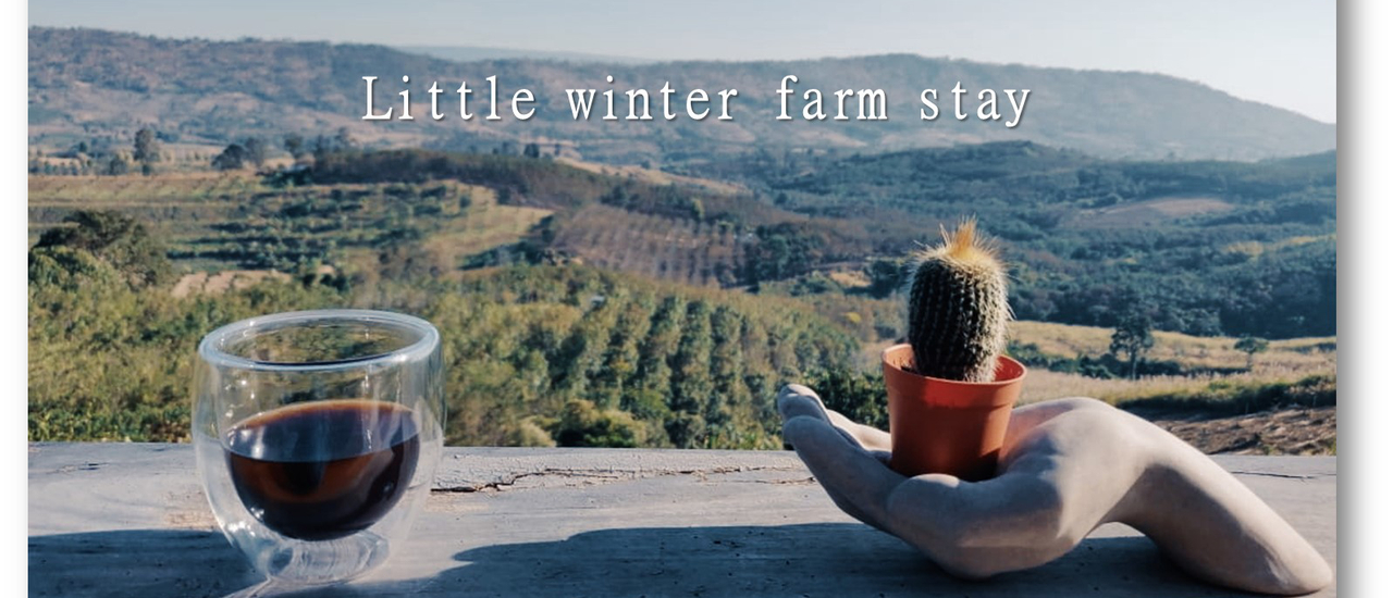 cover หนาวนี้ที่น้ำหนาว