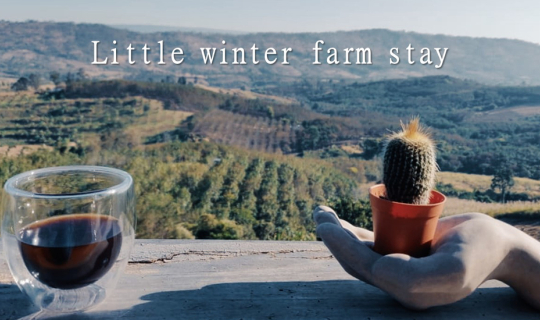 cover หนาวนี้ที่น้ำหนาว