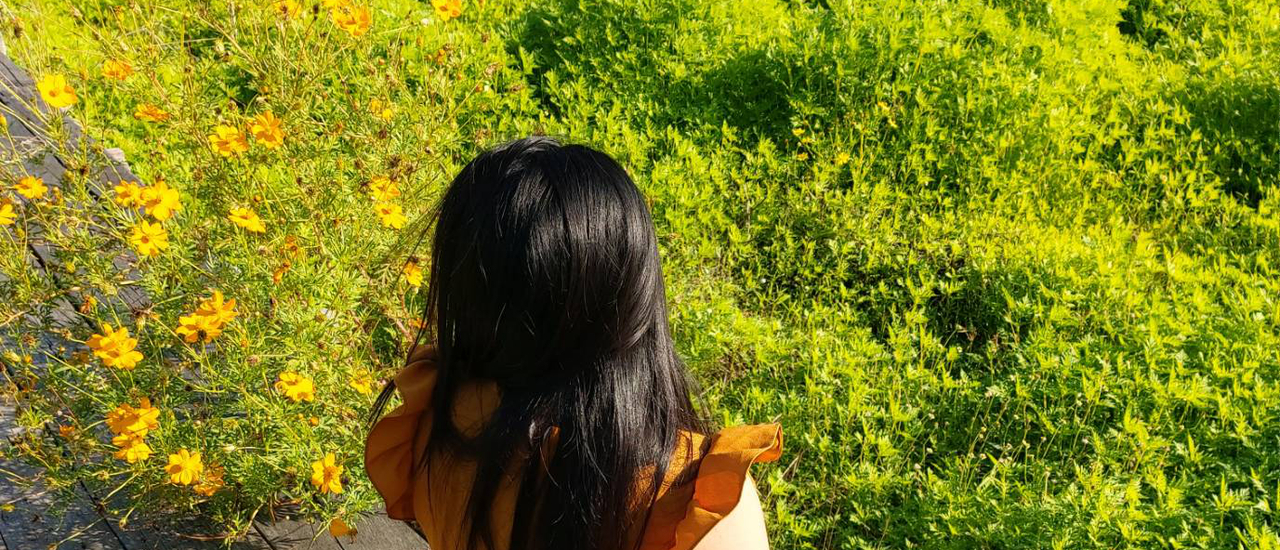 cover ก่อนขึ้นเขาค้อแวะไหนดี@กระเพรา&coffee@ ทานตะวันเขาจีแล@น้ำตกศรีดิษฐ์เพชรบูรณ์2019-11-24