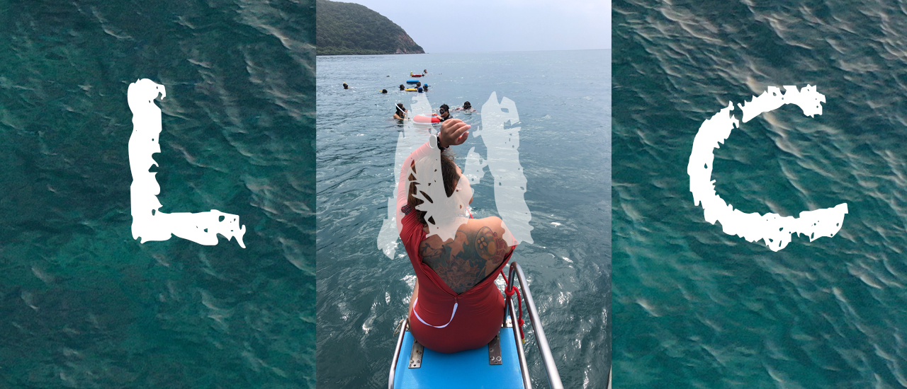 cover ดำฟรีไดร์ จนชักแหง๊กๆ (LMC) รีวิวประสบการณ์ไม่คาดฝัน จากการดำฟรีไดร์