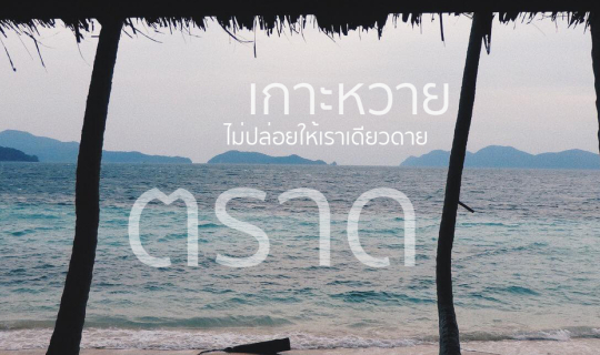 Cover " เกาะหวาย " ไม่ปล่อยให้เราเดียวดาย...