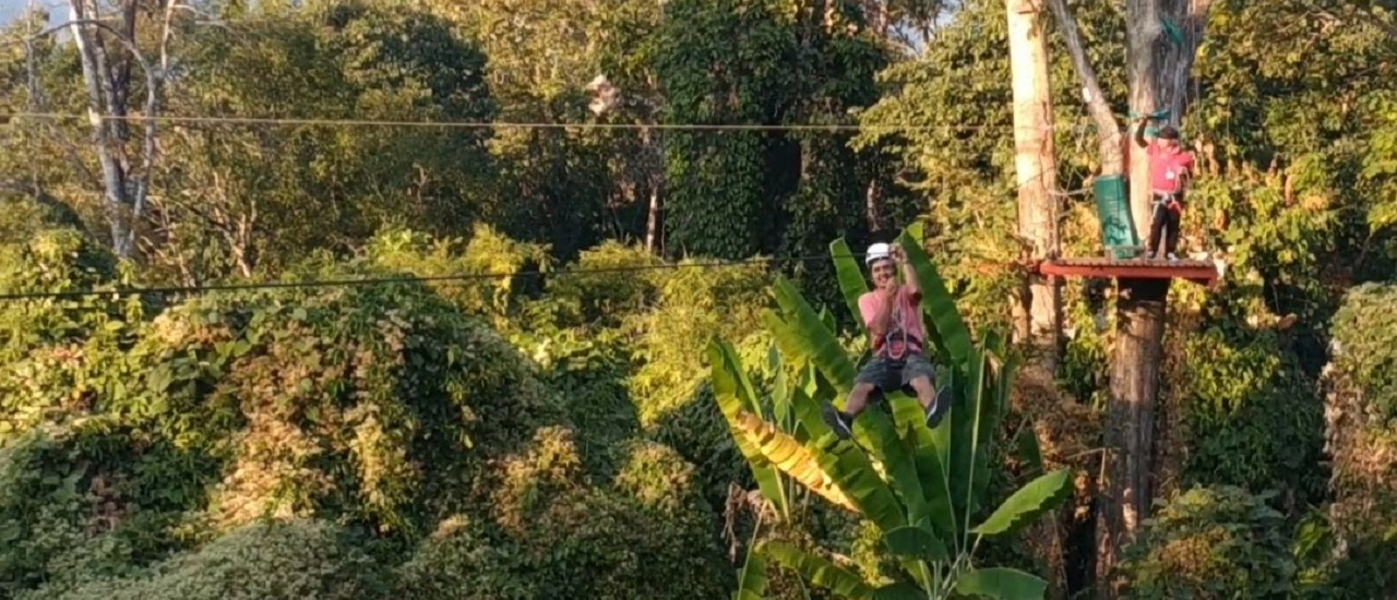cover ชมความงามสวนแม่ฟ้าหลวงและทดสอบความเสียว@Doi Tung Tree Top Walk & Zipline เชียงราย